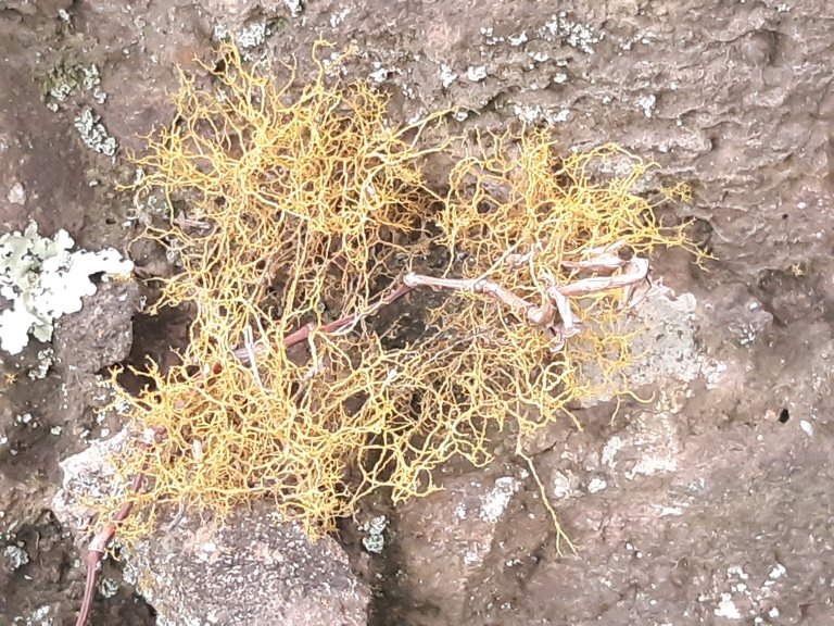 20210905_125750.jpg
