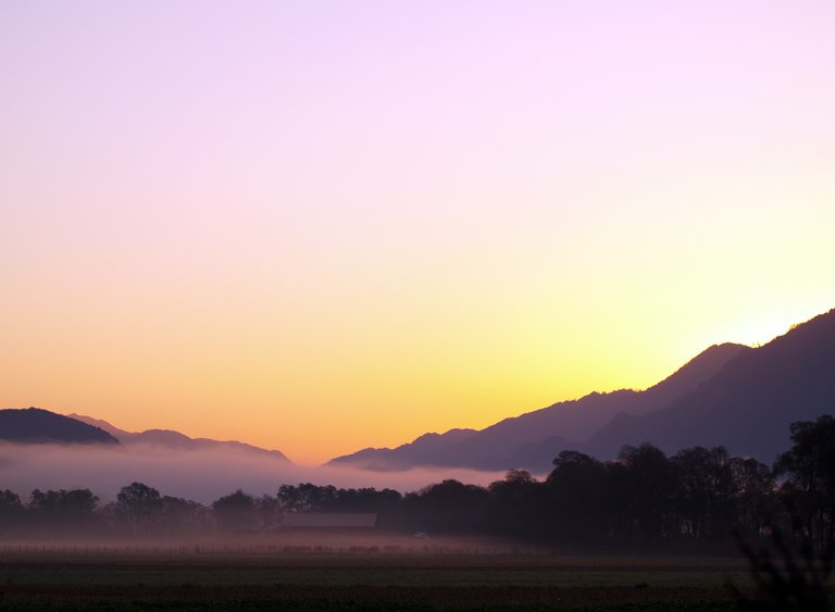 Early Morning.jpg
