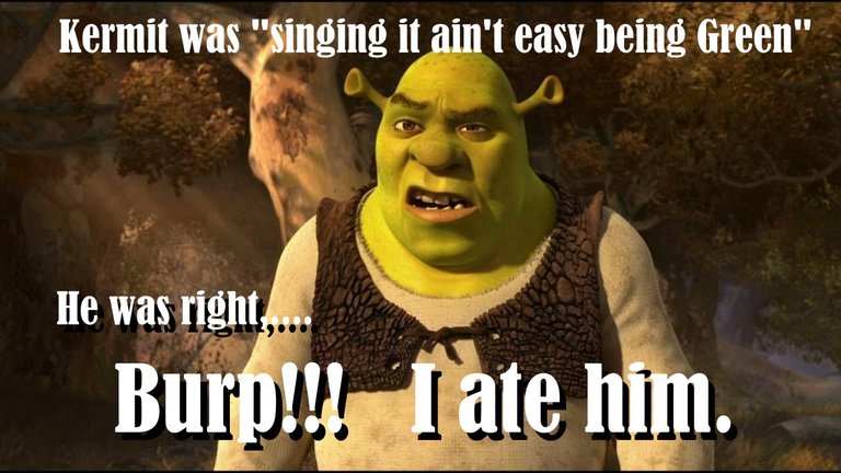 shrekkermit.jpg