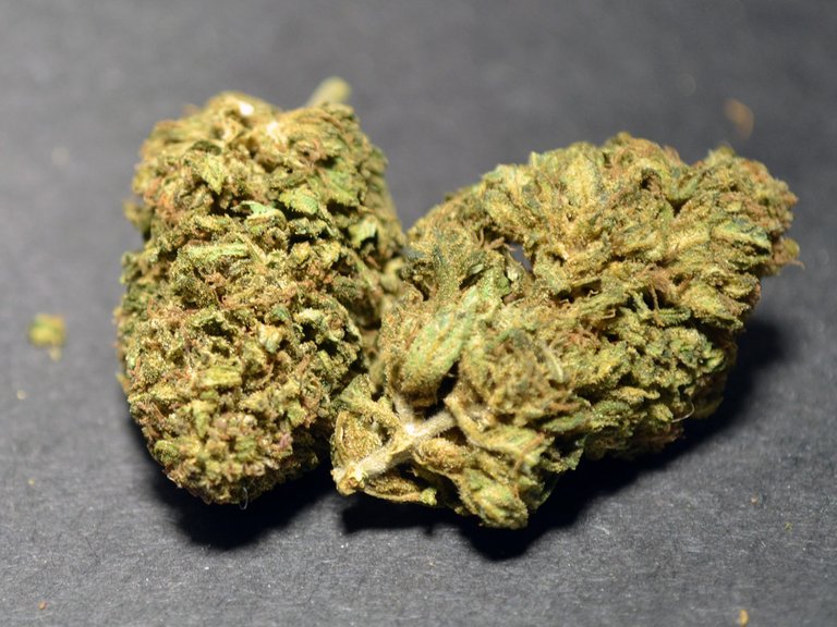 tweedle-farms-remedy-cbd-flower-04-closeup.jpg