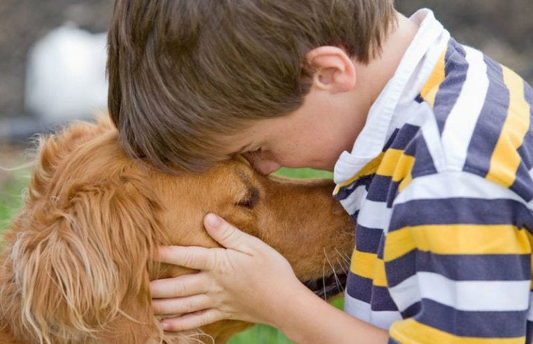 perros-en-la-familia.jpg