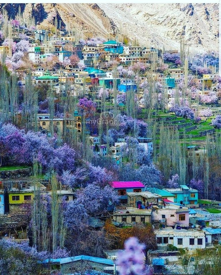 hunza.jpg