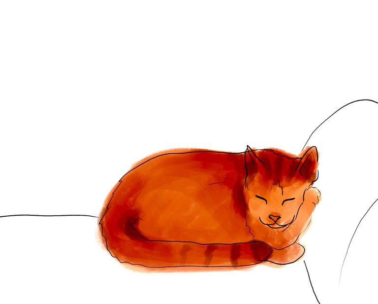 sleepycat(504).jpg