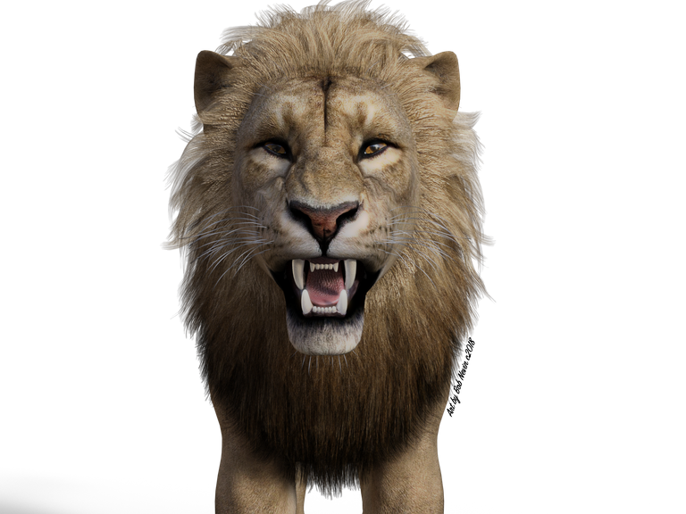 lion.png