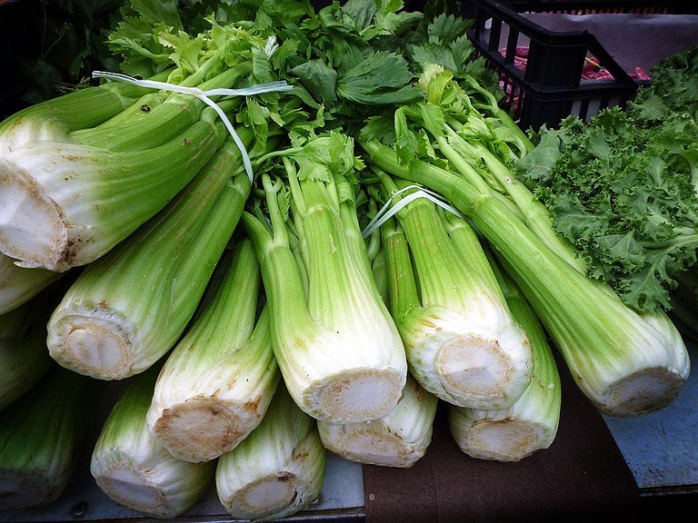 celery2.jpg