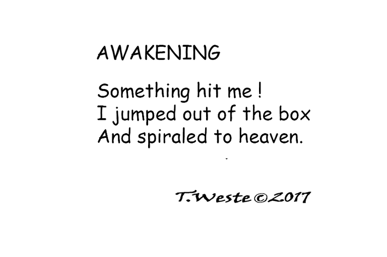 AWAKENING.png