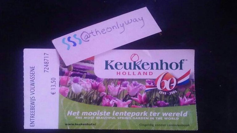 keukenhof.jpg