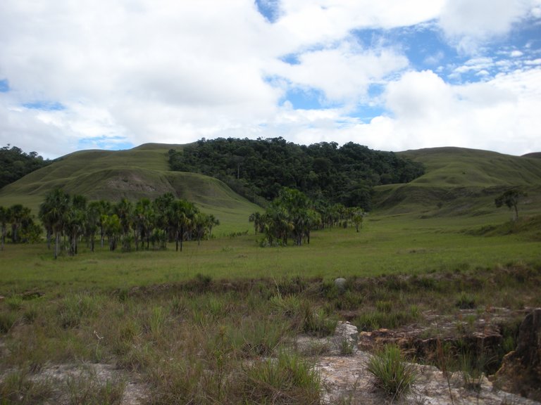 La_Gran_Sabana_99.jpg