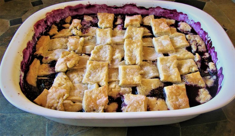 blueberry cobbler may 14.JPG