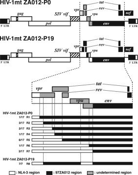 1-s2.0-S0042682214001883-gr4.jpg