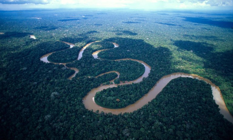 meandering_amazon_(c)_WWF-Canon__Andre_Bartschi.jpg