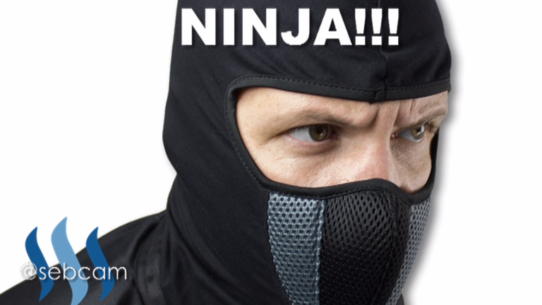 10 NINJAAAA.png