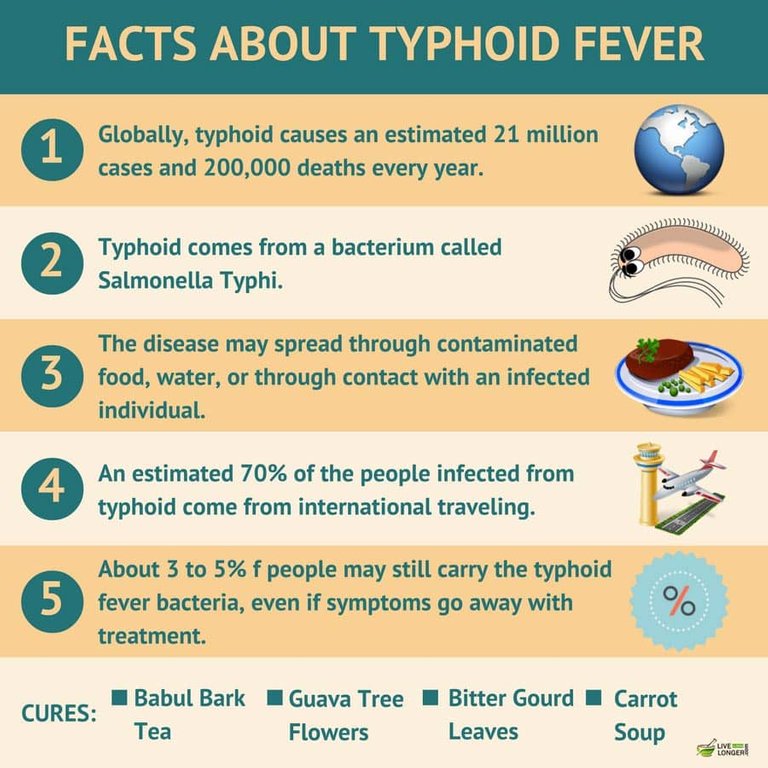 typhoid1.jpg