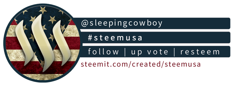 Steem USA Compact Banner