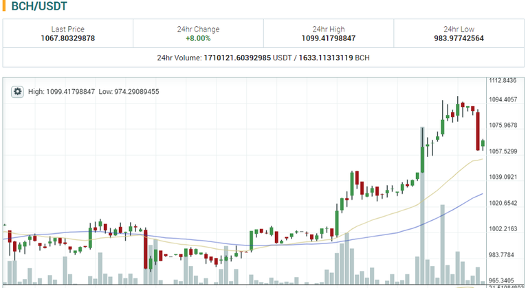 bch status 1.PNG