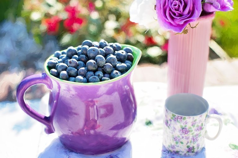 blueberries-864628_960_720.jpg