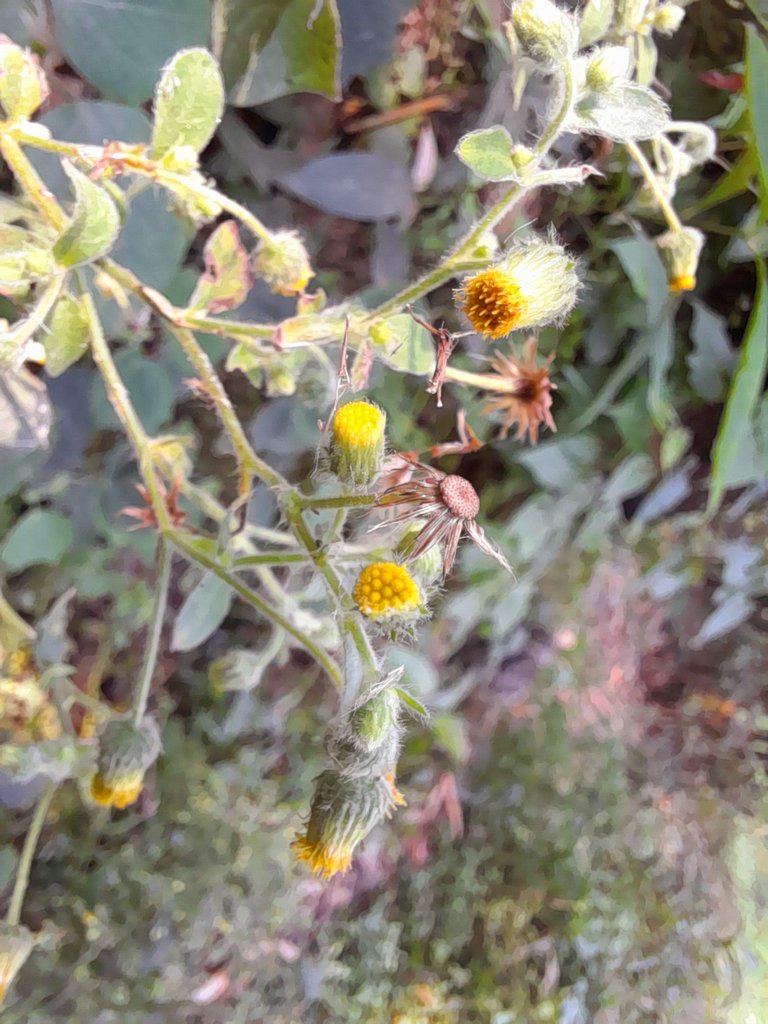 20230331_094110.jpg