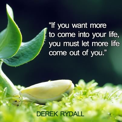 quote-you-must-let-more-life-come-out-of-you-derek-rydall.jpg