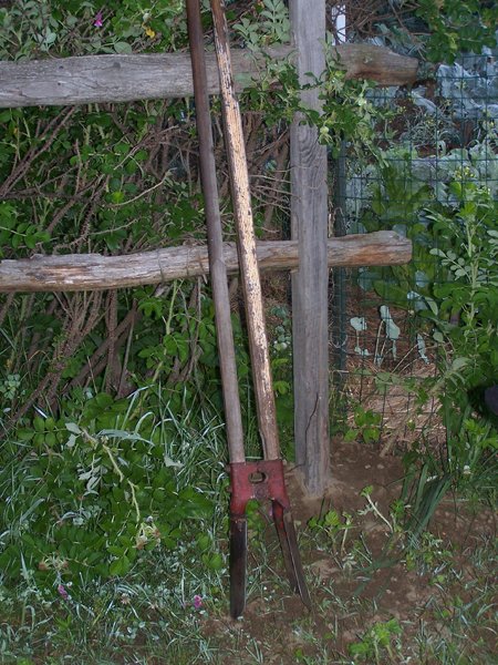 Fixing fence8 crop June 2018.jpg