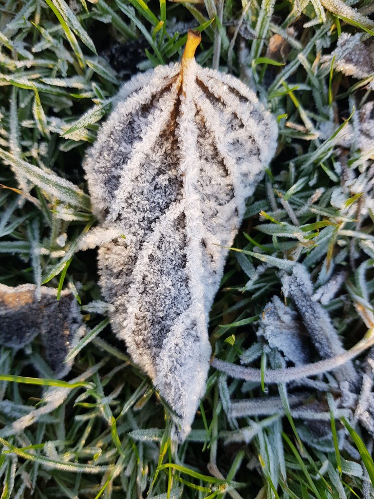 20181213_104208.jpg