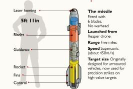 new missile known as a 'ninja bomb' 8.jpg