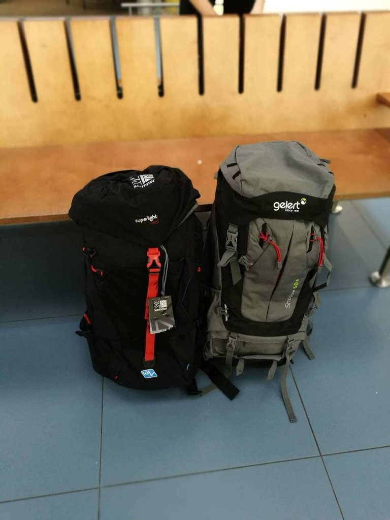 2 backpacks.jpg