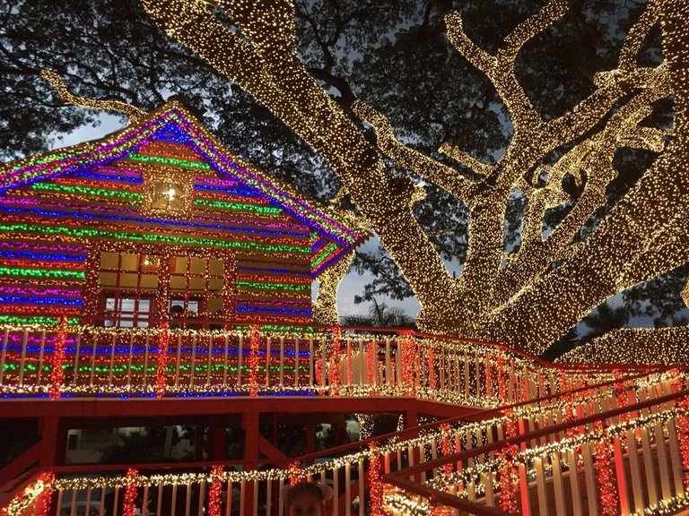 alcalde-enciende-arbol-de-navidad.jpg