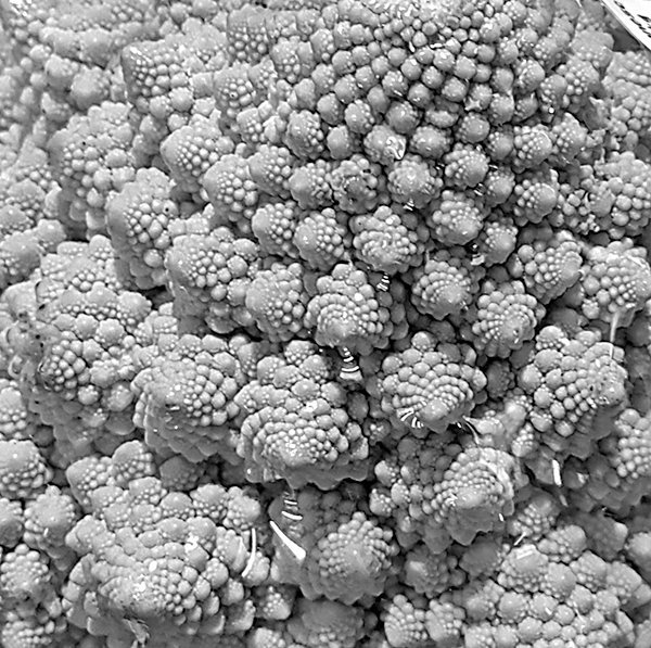 China Romanesco01 B&W-S.jpg