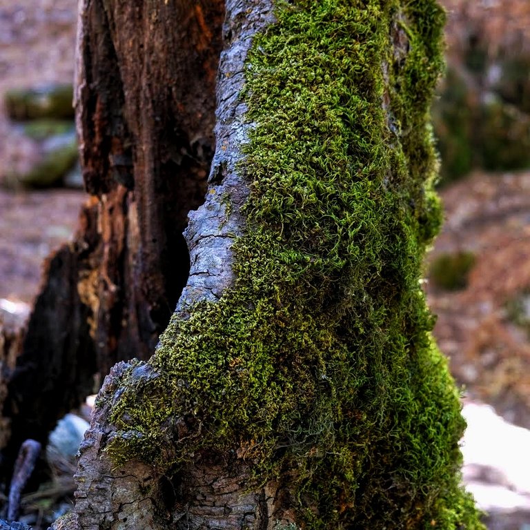 C72A3044-692A-4B8F-8F9D-A46FAC47EC5D.jpeg