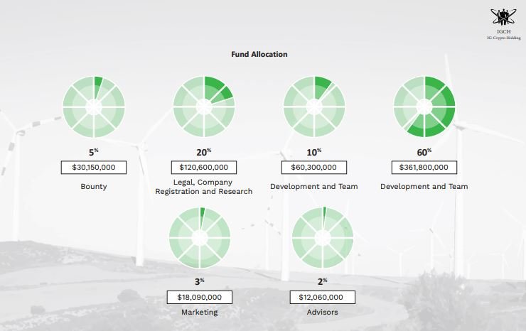 IG token allocations.JPG