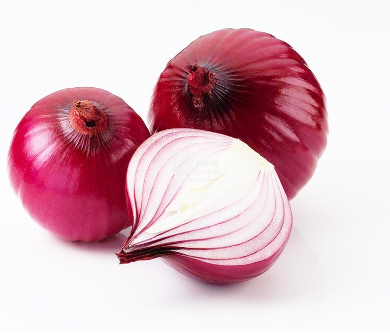 onion-08.jpg