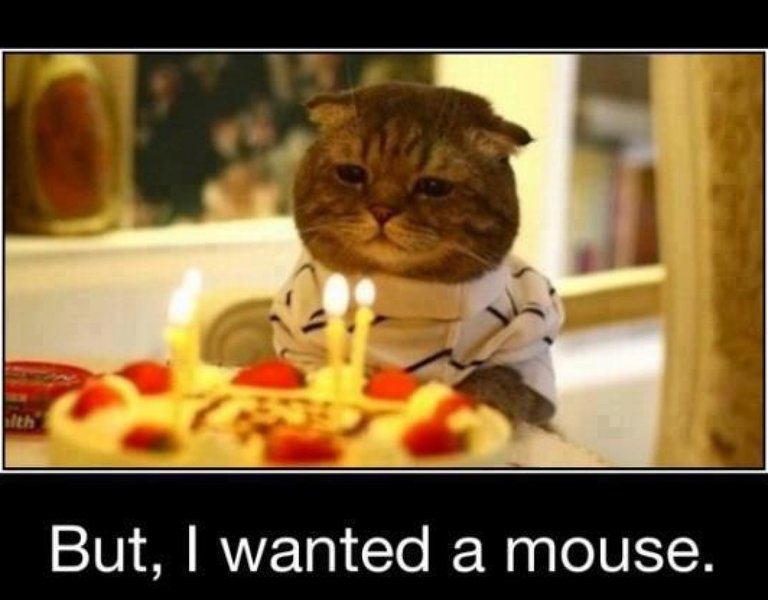 funny-happy-birthday-pictures-with-cats-funny-happy-birthday-pictures-with-cats-luxury-happy-birthday-funny.jpg