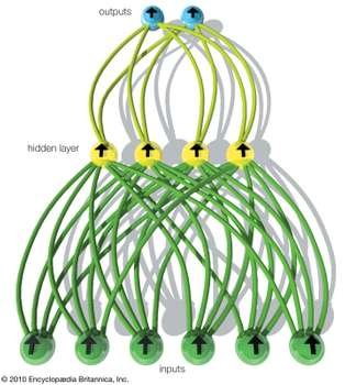 feedforward-neural-network-signals-Output-neurons-input.jpg