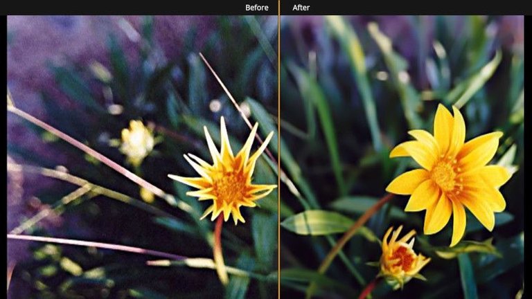 Photography-Tutorial-Before-After.jpg