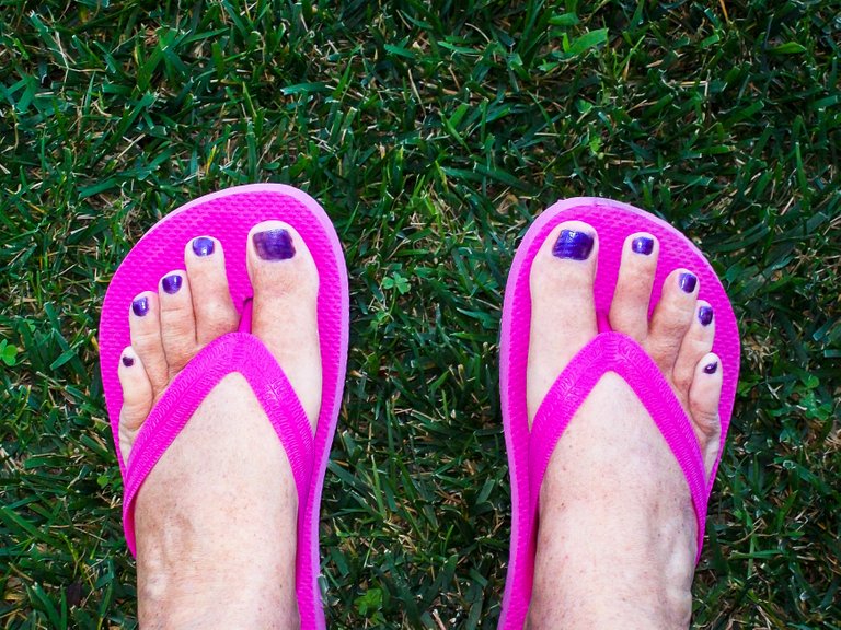 Cute Purple Toes.jpg