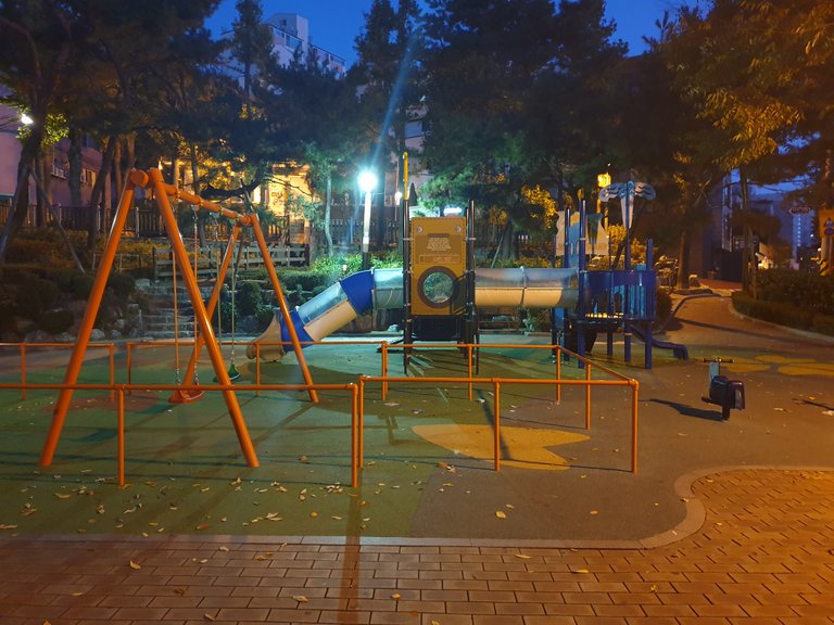 20181101_062701.jpg