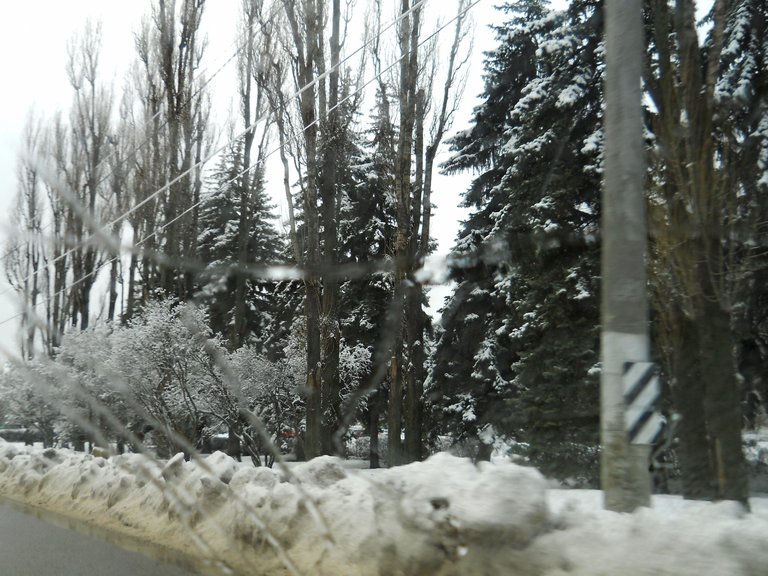 DSCN0009.JPG