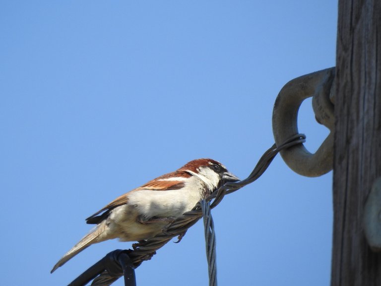 DSCN1063.JPG