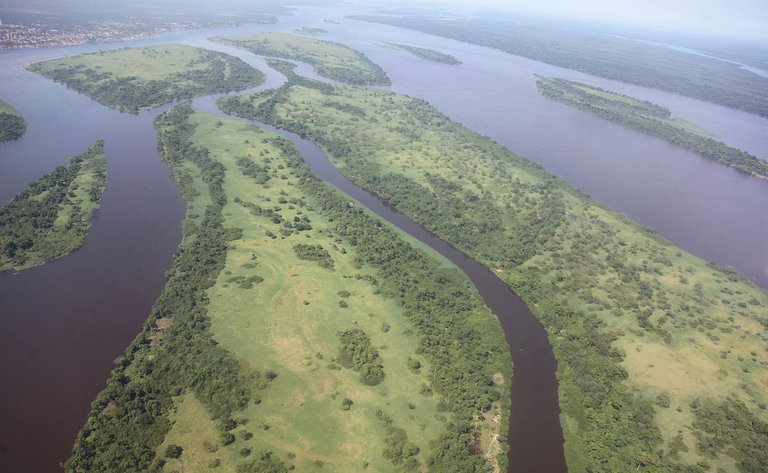 fleuve_congo04022005.jpg