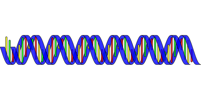 dna-296744_1280.png