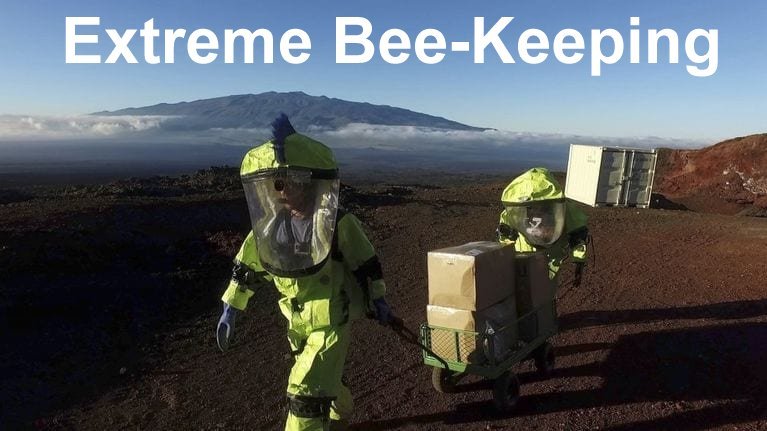 terraform_honey_do.jpg