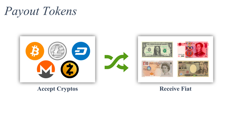 PayoutTokens.png