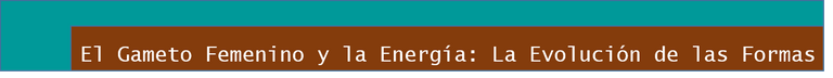 el gameto y energia.png