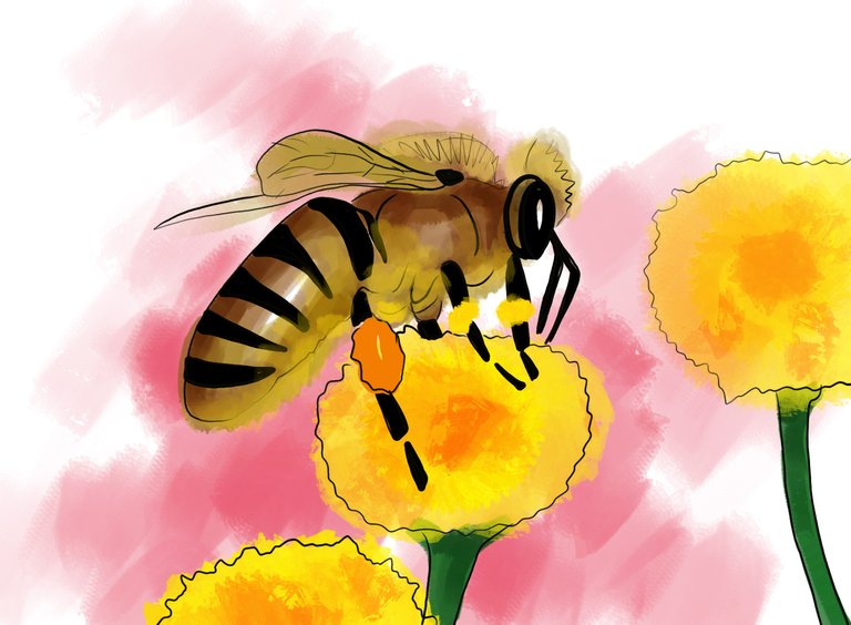 Bee (355).jpg