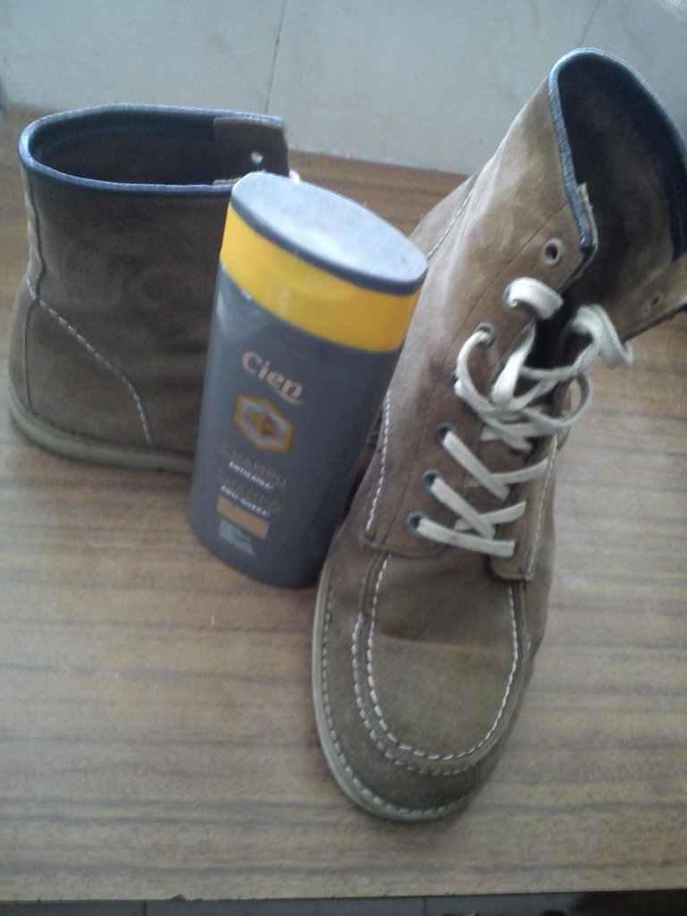 BOOTS+SHAMP.jpg