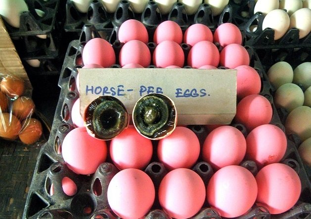 photo-roulette-Horse-Pee-Eggs-Thailand-Melissa-To-and-Fro-1.jpg