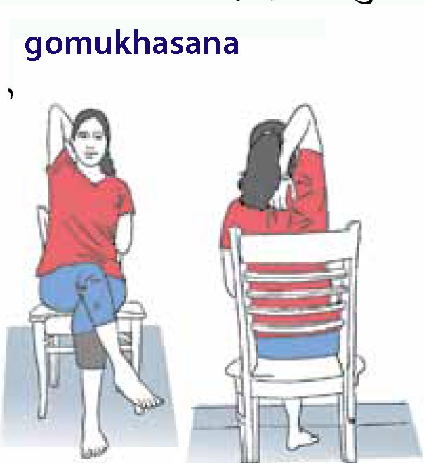 gomukhasana.jpg