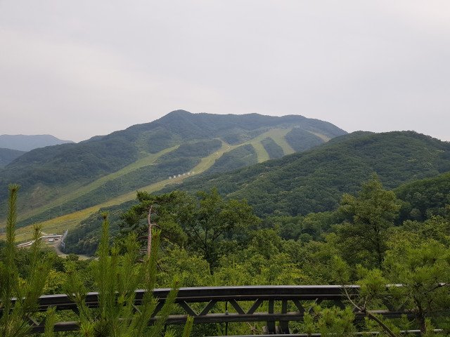 수정됨_20180617_152237.jpg