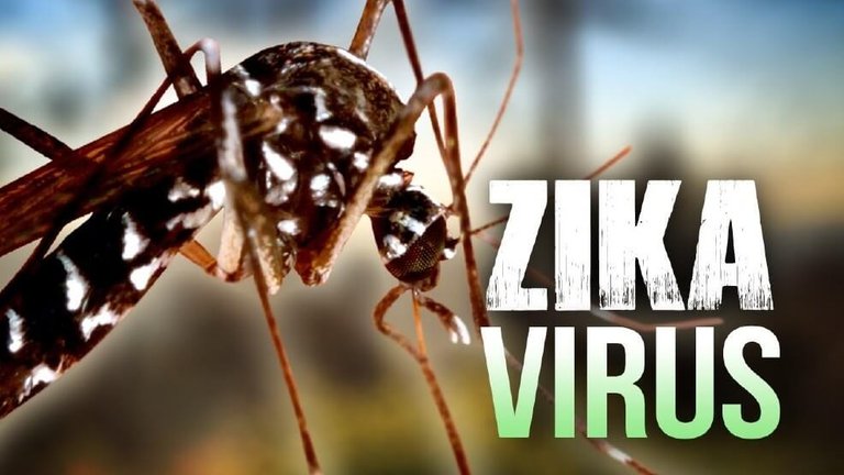 Zika-information-virus.jpg