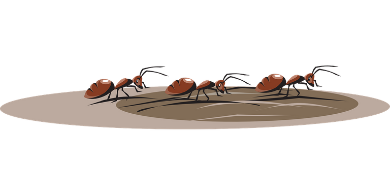 ants-45804_1280.png